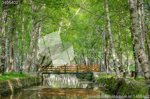 Image of Park Natural serra Estrela - Portugal 