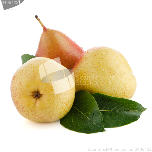 Image of Three ripe pears