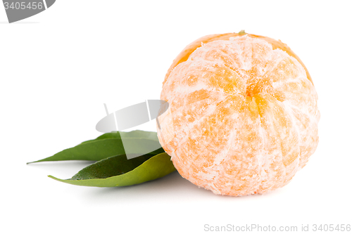 Image of Ripe tangerine or mandarin
