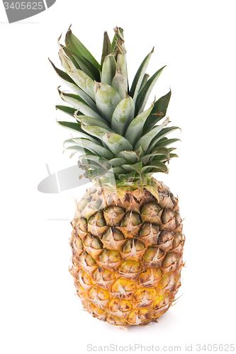 Image of Pineapple