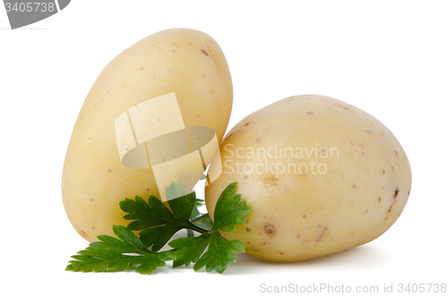 Image of New potatoes and green parsley