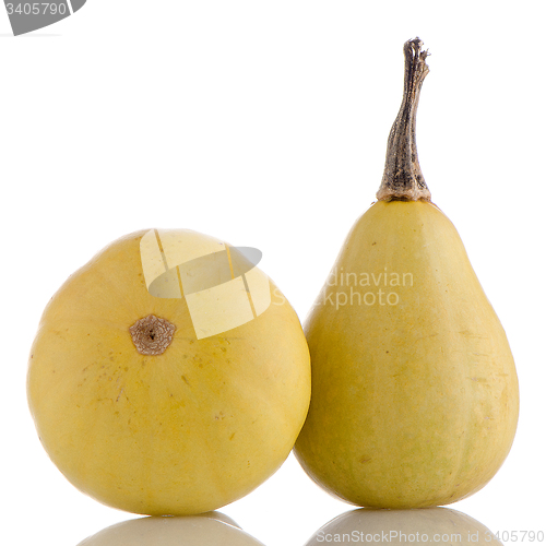 Image of Yellow pumpkins