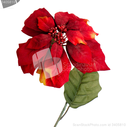 Image of Red Christmas decoration
