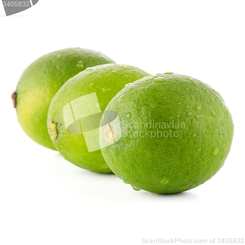 Image of Fresh green limes