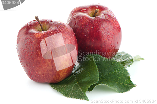 Image of Ripe red apples