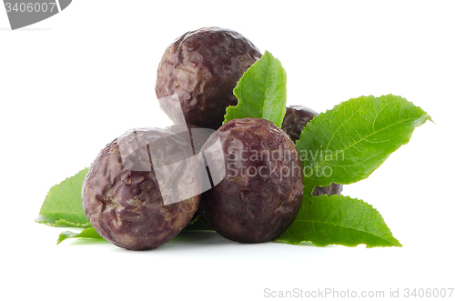Image of Fresh passion fruit