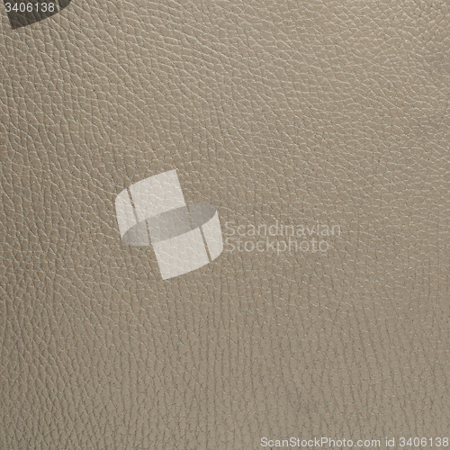 Image of Grey leather texture closeup