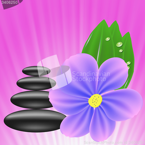 Image of Stones and Flower