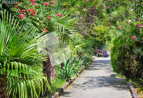 Image of Alley in the Park with beautiful southern flowering plants.