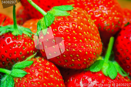 Image of Delicious ripe strawberries closeup..