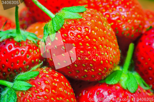 Image of Delicious ripe strawberries closeup..