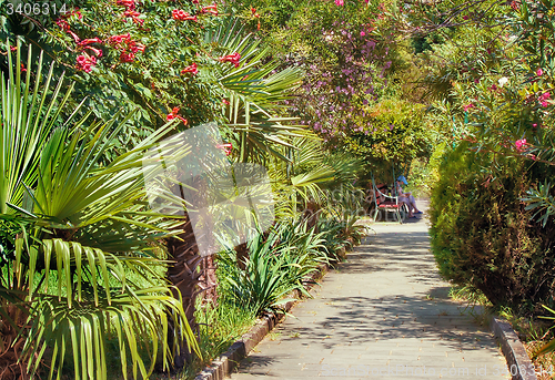 Image of Alley in the Park with beautiful southern flowering plants.