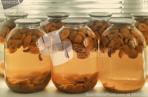 Image of Home canning: large glass cylinders with apricot compote.