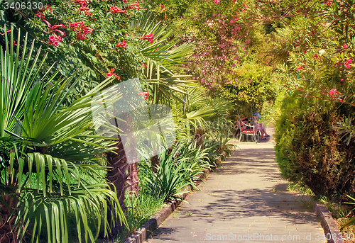 Image of Alley in the Park with beautiful southern flowering plants.