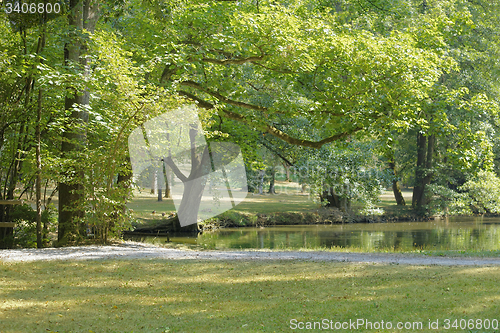 Image of idyllic park scenery