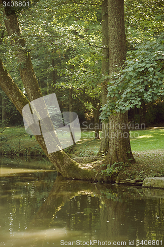 Image of idyllic park scenery