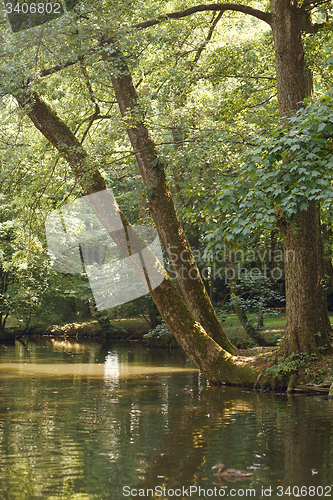 Image of idyllic park scenery