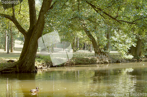 Image of idyllic park scenery