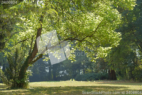 Image of idyllic park scenery