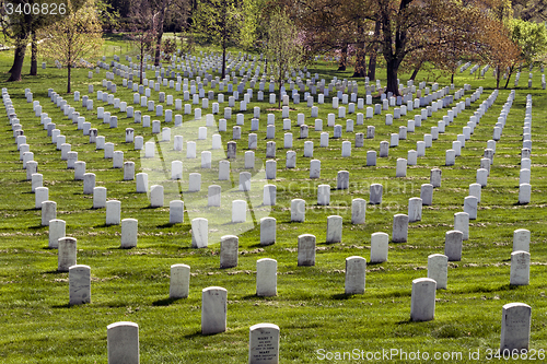 Image of Headstones at Arlington National Cemetery