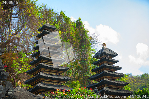 Image of Heaps of Guano at Goa Lawah Bat Cave Temple in Bali