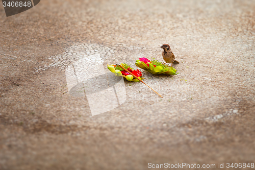 Image of Little Sparrow, Stealing Food from an Offering to the Gods