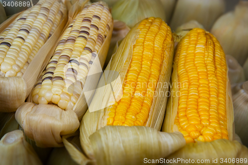 Image of Boiled corn at a street vendor\'s stand
