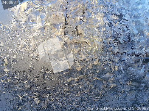 Image of Ice pattern on winter glass