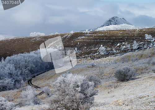 Image of Frosty Landscape
