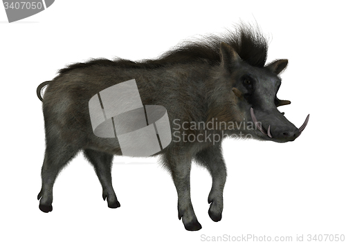 Image of Warthog