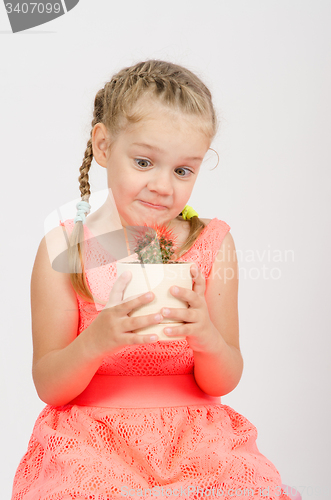 Image of The girl stares at a cactus in pot