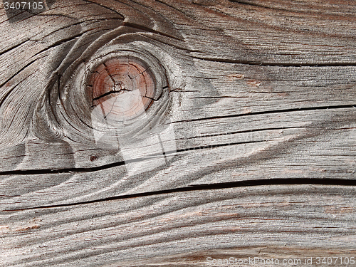 Image of Old wooden board with annual rings
