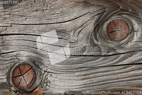 Image of Old wooden board with annual rings