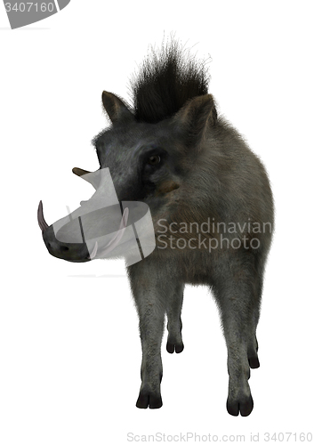 Image of Warthog