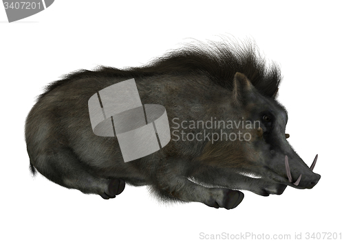 Image of Warthog