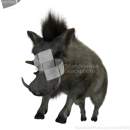 Image of Warthog