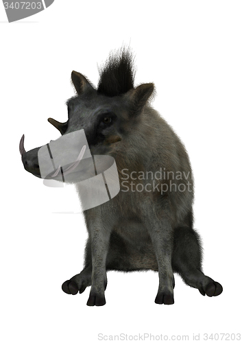 Image of Warthog