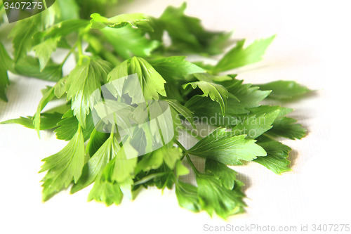 Image of lovage plant