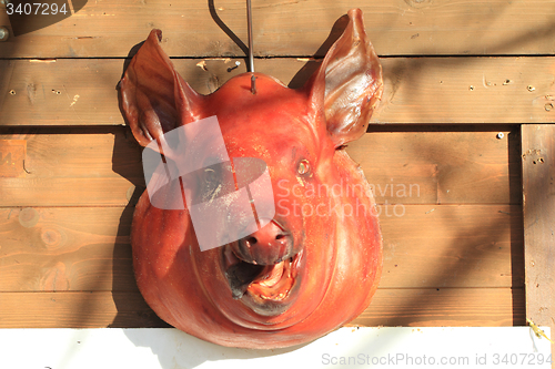 Image of pig head