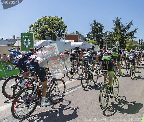 Image of The Peloton - Tour de France 2015