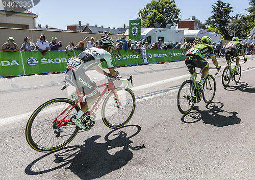 Image of The Peloton - Tour de France 2015