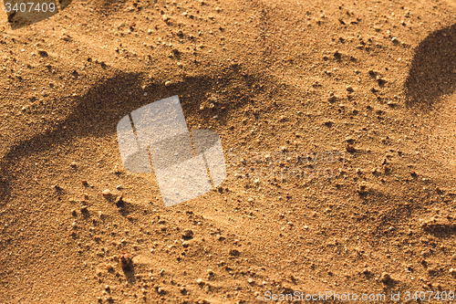 Image of Desert sand texture