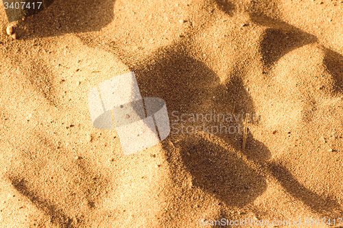 Image of Desert sand texture