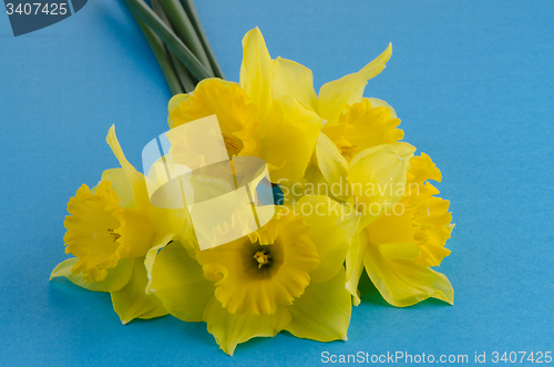 Image of Jonquil flowers