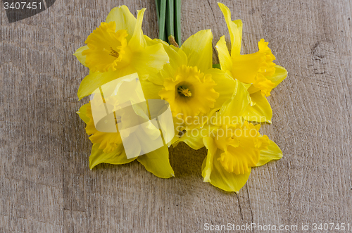 Image of Jonquil flowers