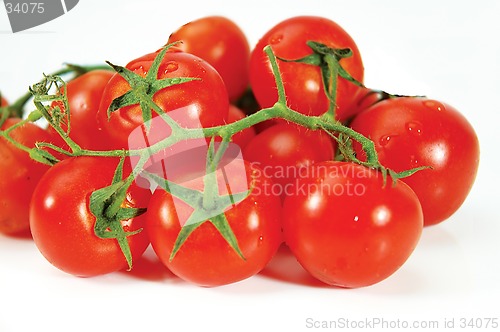 Image of Tomatoes on white