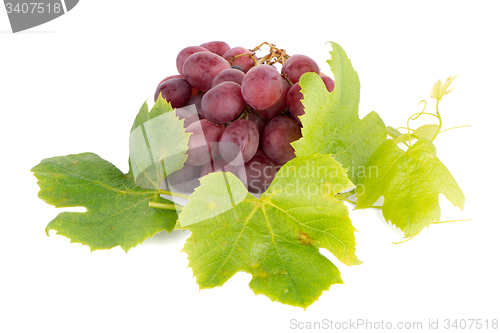 Image of Bunch of red grapes