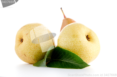 Image of Three ripe pears