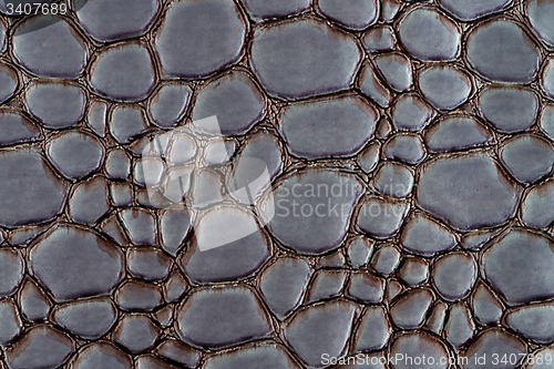 Image of Grey leather texture closeup