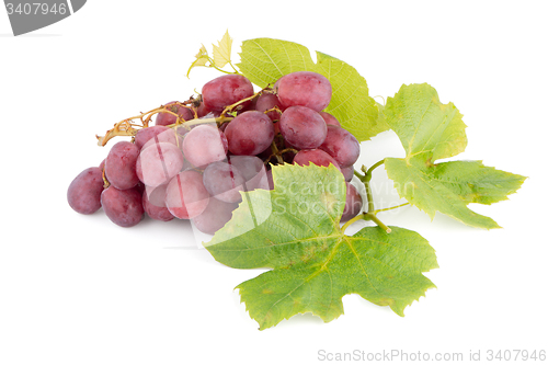 Image of Bunch of red grapes